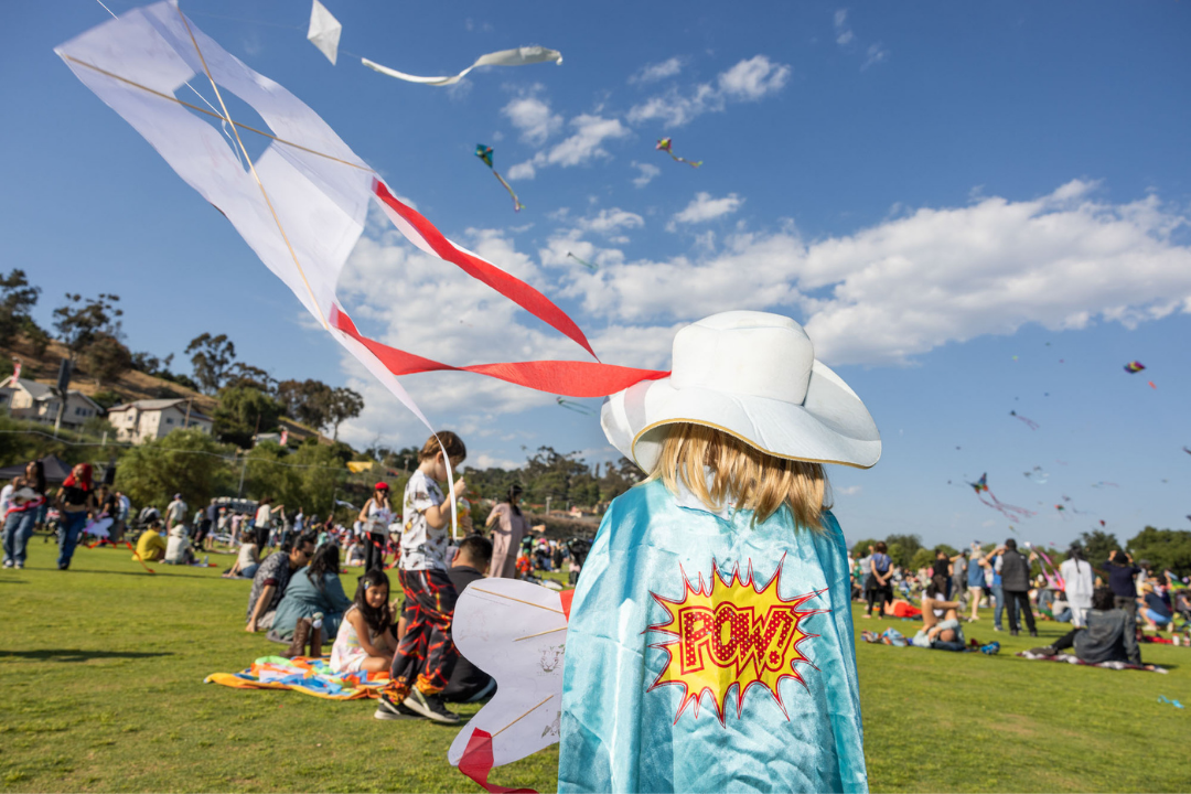 In the foreground, a child stands with their back to the camera wearing a light blue cape with the phrase &ldquo;POW!&rdquo; in big red letters. In the background, hundreds of people are flying their kites.